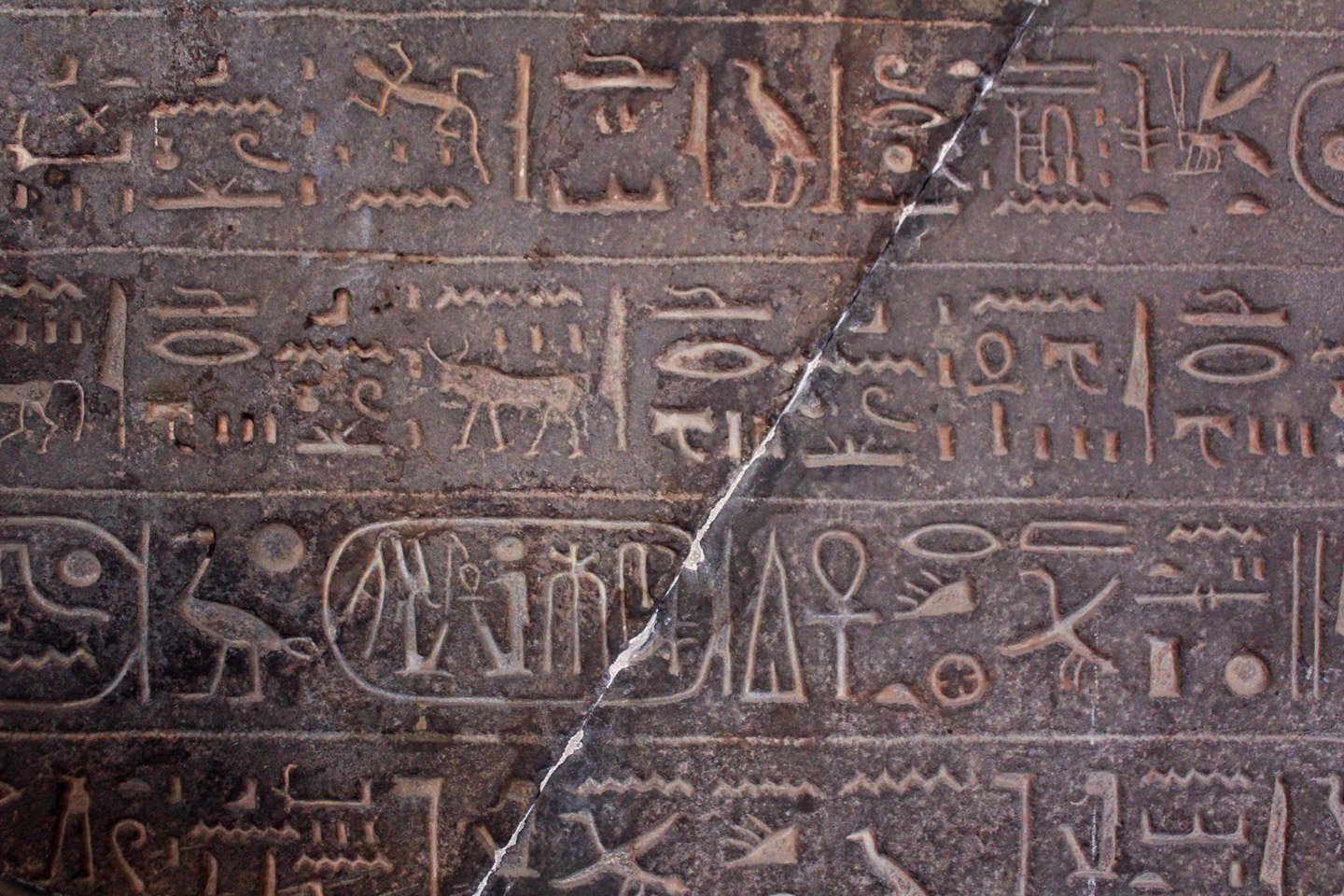 Jeroglíficos en el Museo Egipcio de El Cairo.